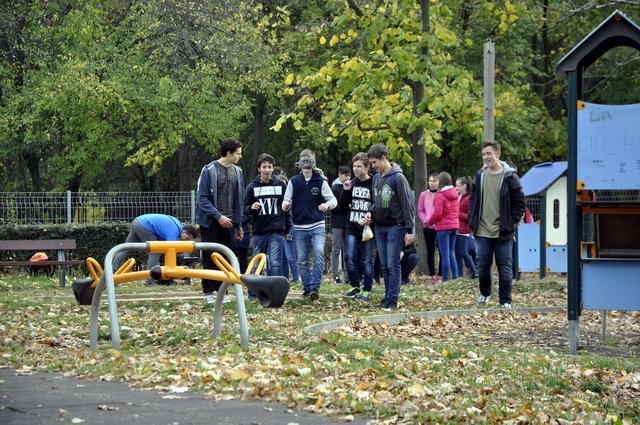 csibetábor az aranyban 10